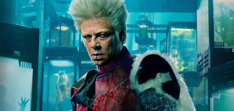 Rethinking Collecting: Is it a Collection, or a Hoarding?