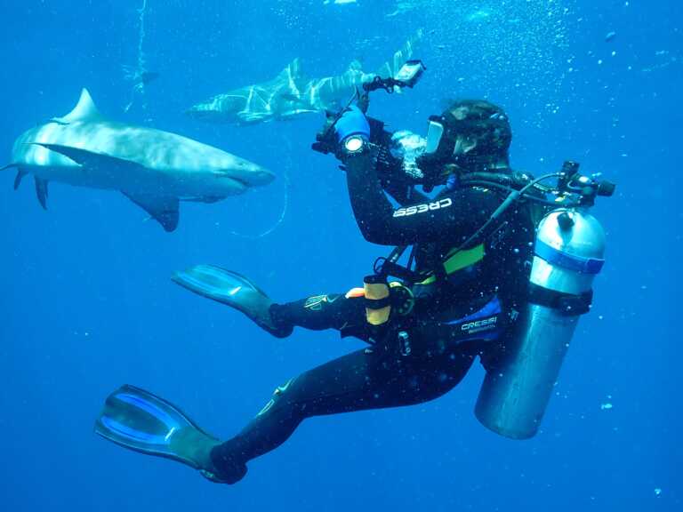 Sara Casareto busts the shark stereotype myth in “Jaws vs Boats”