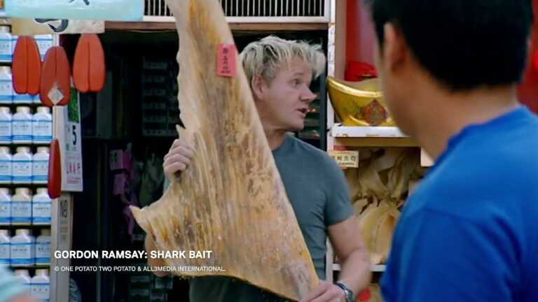 Tubi’s Shark Month: Bitefest returns this August