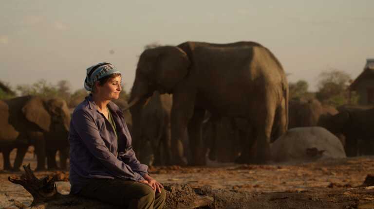 Elephant Refugees: Louise Hogarth reveals a new threat to the elephant population